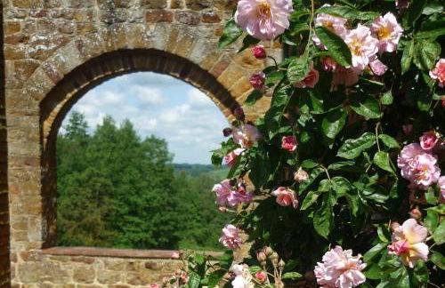 Heath Farm Holiday Cottages - Foto 52