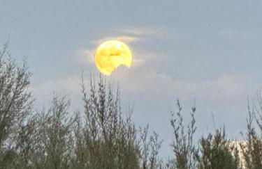 Villa Paola by the sea - Foto 23