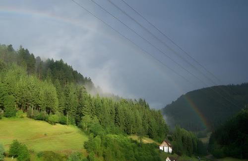 Gästehaus Brigitte Schoch - Foto 22