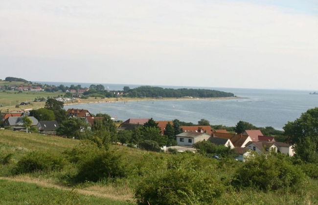 Seeschwalbe in Villa Sirene, Binz - Photo 11