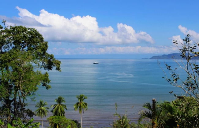 Beautiful House With Panoramic View of the bay and Gardens - Photo 29