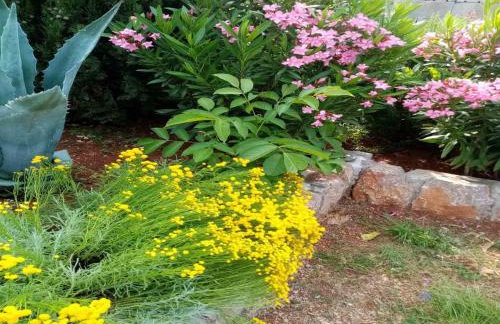 Apartments Paola - Foto 60