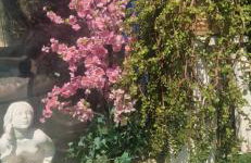 VILLA Soleil et Douceur - Foto 7