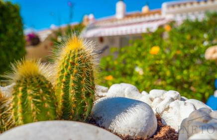 Inftour La viña Bungalow - Foto 40