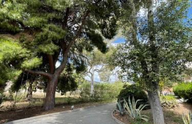 Porto Assini - Foto 38