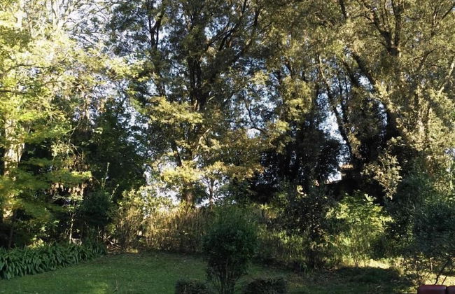 Bosque de Cuevas - Foto 39