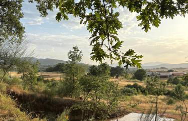 Casa Cabeço do Barragão - Photo 36