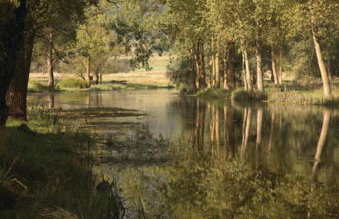 1 Bedroom Cozy Home In Licko Lesce - Photo 26