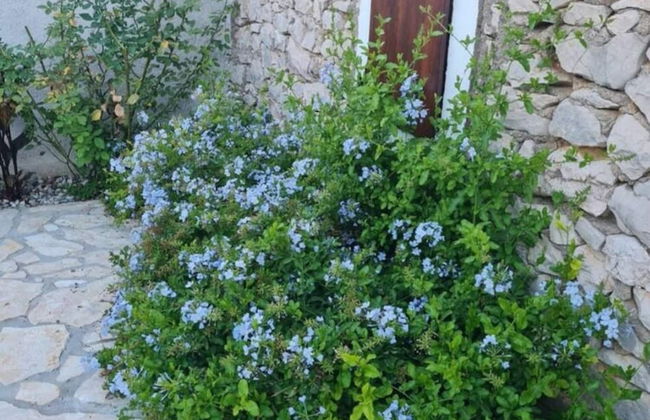 Home With Swimming Pool & Outdoor Kitchen - Foto 60