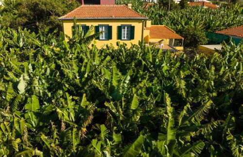 Casa D`Avó Celina - Foto 5