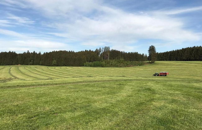 Sunny Terrace Apartment - Foto 20