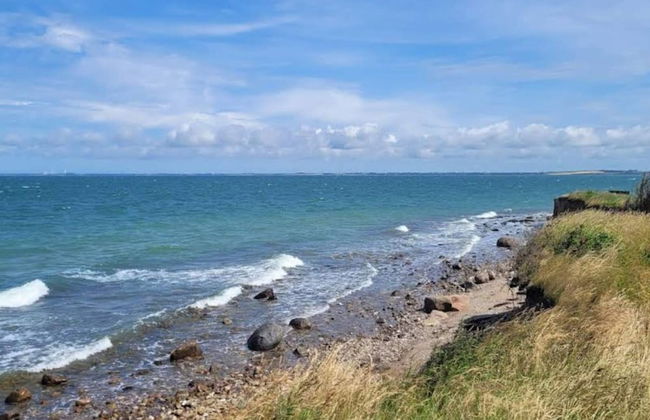 5 Person Holiday Home in Store Fuglede - Foto 30