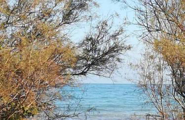 Casa Vacanza Villa Stefy - Salento - Foto 26