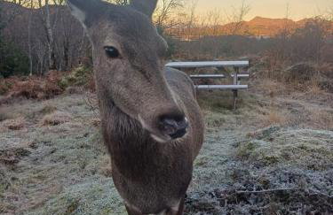 Cosy Holiday Home Acharacle Sleeps 6 - Photo 28
