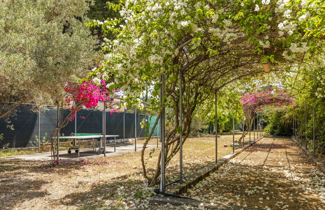 Cicladi Milos - Foto 26