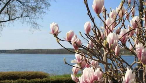 Fewo in Villa mit Seeblick - Foto 2