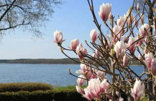 Fewo in Villa mit Seeblick - Foto 2