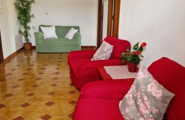 Relax in campagna - Aquino - Photo 3
