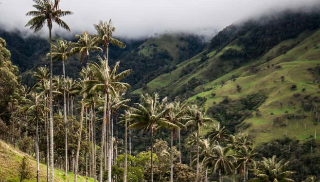 Machín Volcano Tour - Foto 4