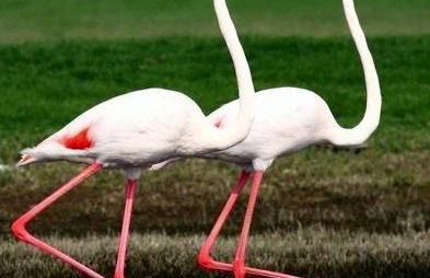 40m2 Cozy DON TOMAS 100m beach - Foto 1