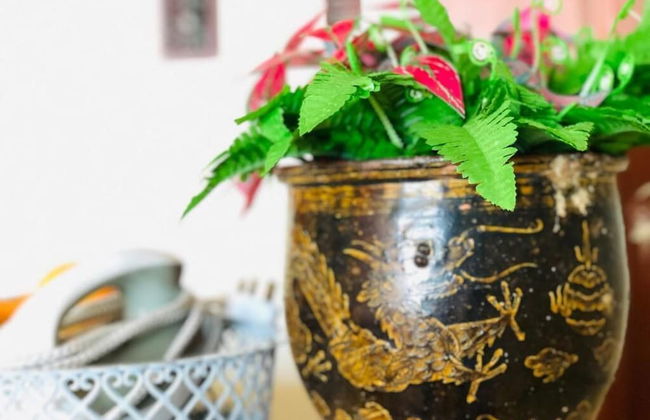 BayView Excursion Home - Foto 33