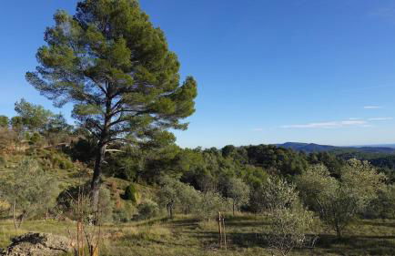 Les jardins de Saint Blaise - Foto 54
