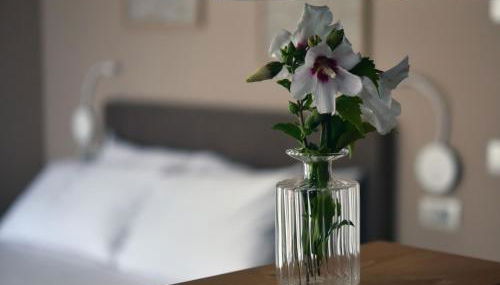 Domus Natura - Foto 4