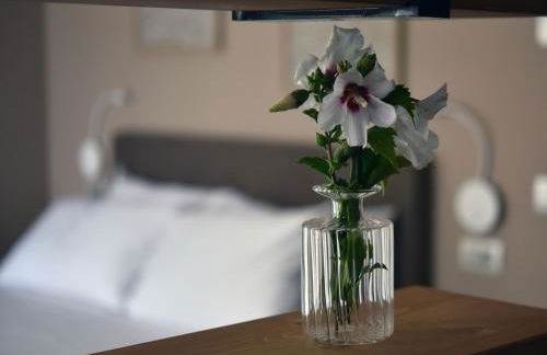 Domus Natura - Photo 4