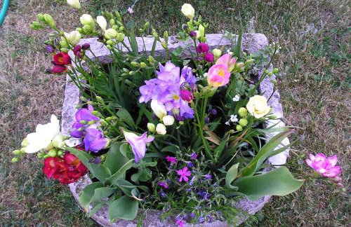 Holiday Homes in Barban - Istrien 10863 - Foto 4