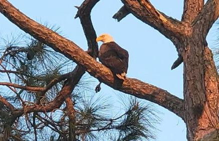 Camp St. Cabanas Unit 4 - Photo 16