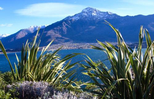 Villa delle Olive - Photo 16