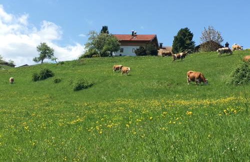 Chiemgauer Ferienhaus - Foto 24