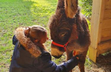 Les Gites de Claire - Foto 14