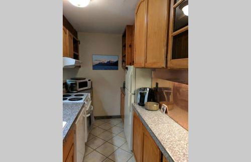 Spectacular Mountain Condo - Foto 52