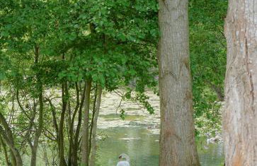 Lakeview at Lodge Farm - Photo 17