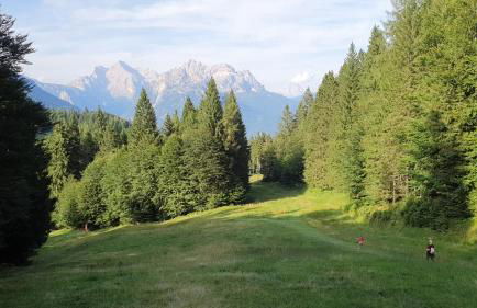 Dolomites Holiday Home - Photo 13