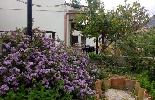 Sa Corte Antiga - Foto 11