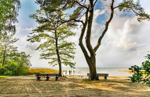 Müritzparadies - Foto 77