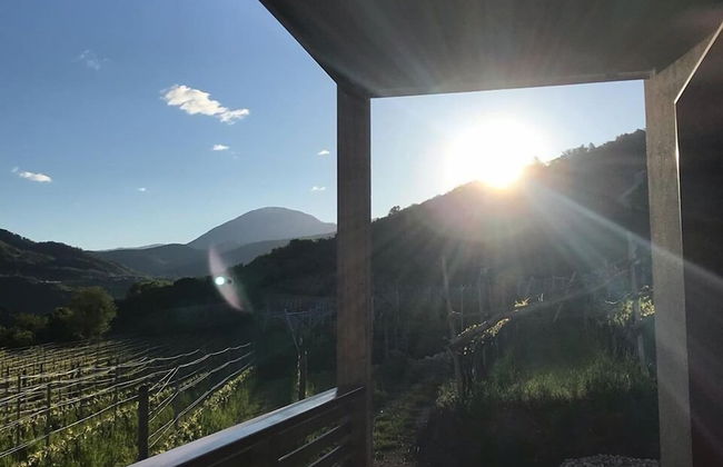 Agritur Verderame - Foto 60