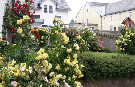 Apartments Angela - Foto 46