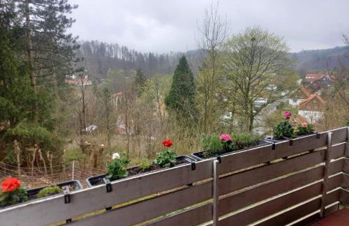 Ferienwohnung Harzblick - Foto 14