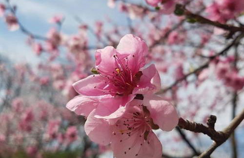 Alaska House - Yukon Room - Foto 61