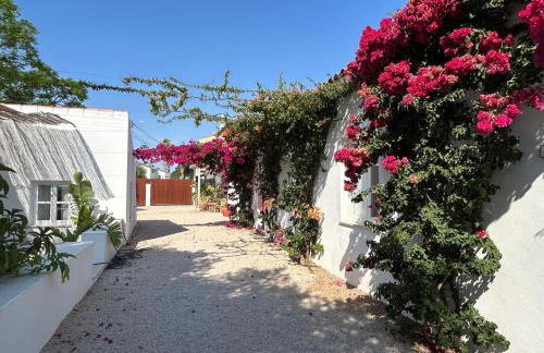 Quinta Castor - Foto 23