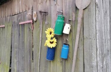 Domek na wsi Wiejsko Czarodziejsko - Agroturystyka Podlasie - Foto 17