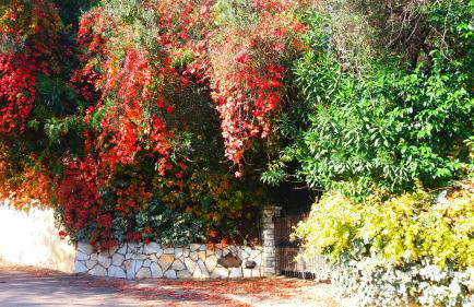 Villa Lofos - Photo 48