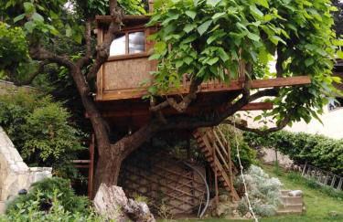 Six Steps From The Forest - Photo 72