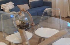 Maison Cosy Mulhouse - Foto 9