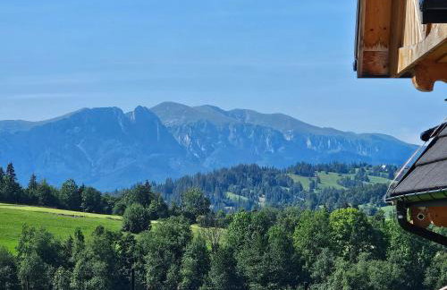 White Dunajec Sauna & Bubles - Foto 48