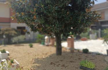 Lucà Apartments - Foto 43