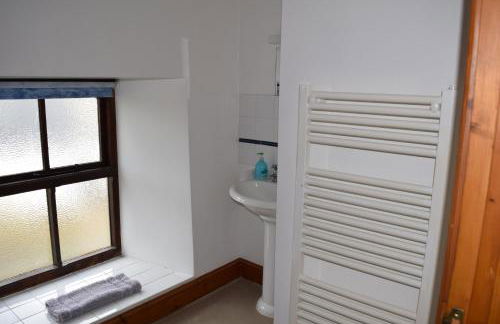 Glascoed Farmhouse Whitland - Foto 12